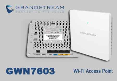 Grandstream GWN7603